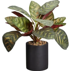 Kunstplant Calathea Groen