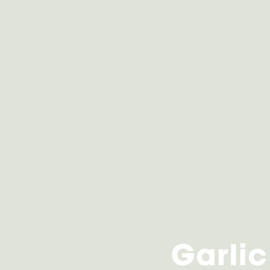 Muurverf Professional Garlic 2.5 L