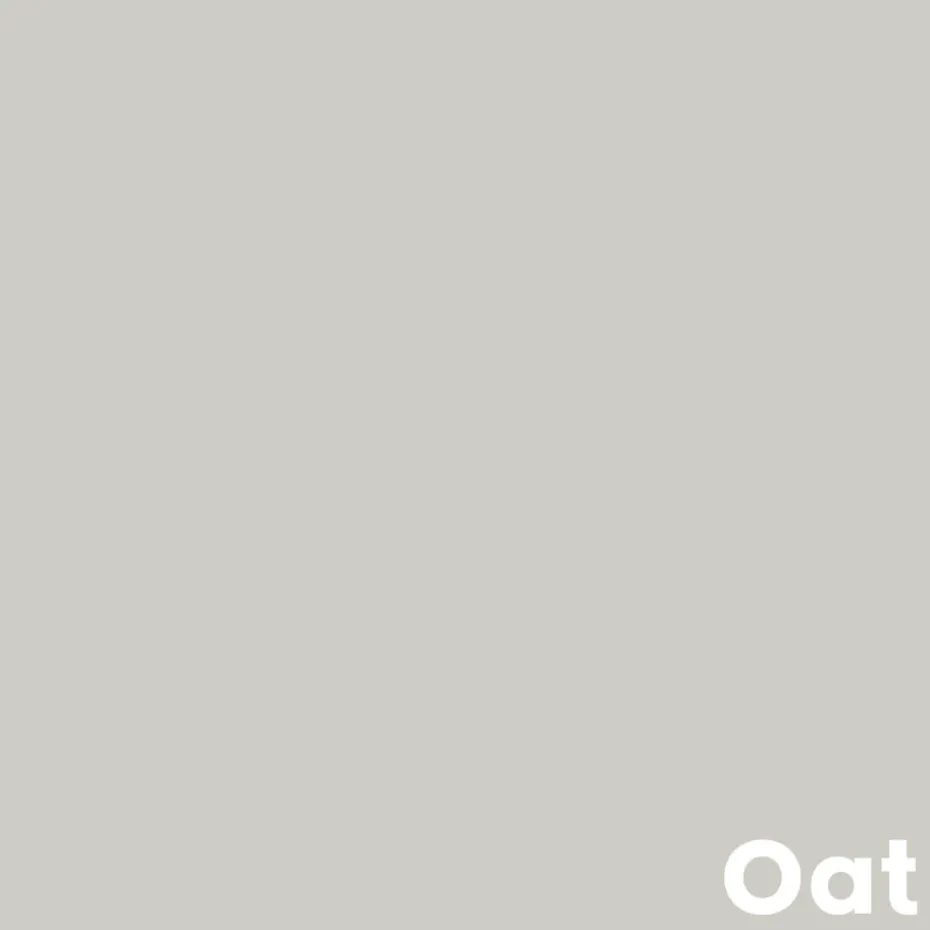 Muurverf Professional Oat 1 L