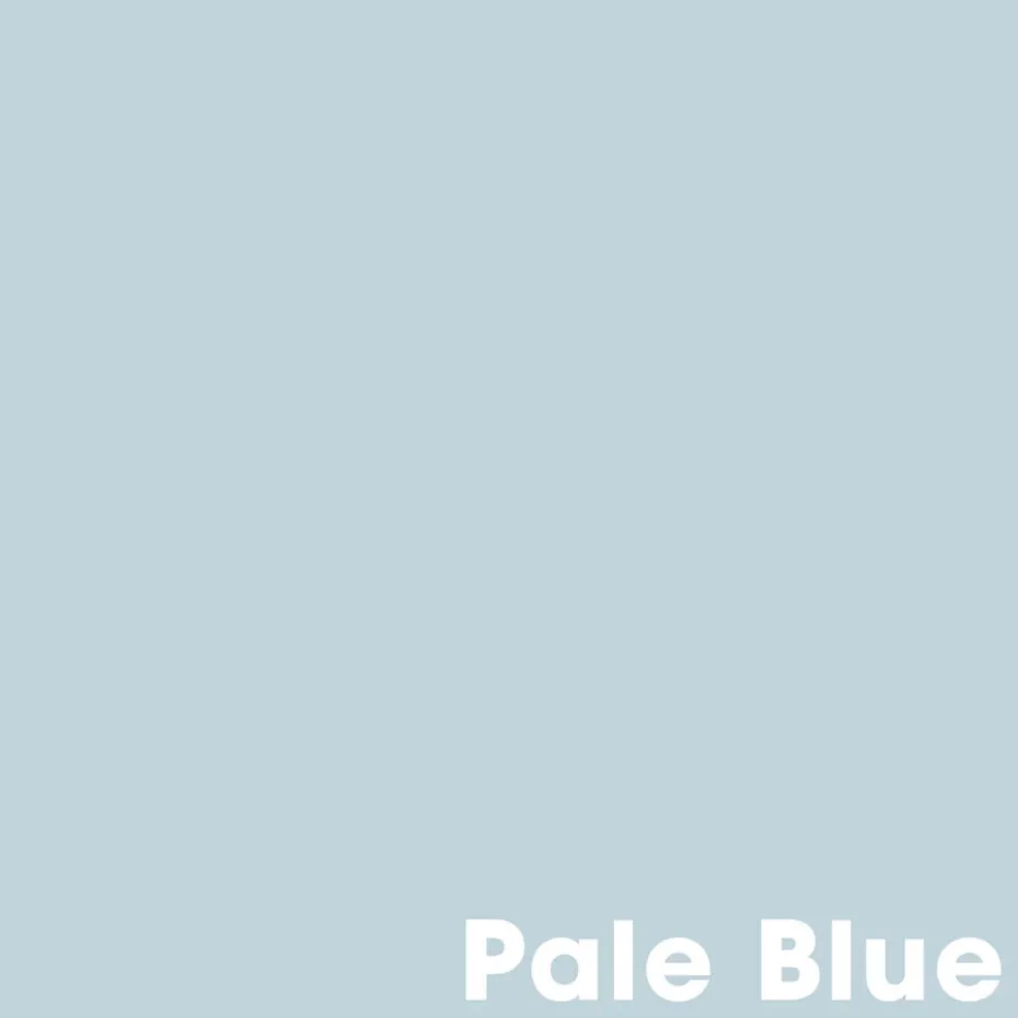 Muurverf Professional Pale Blue 1 L