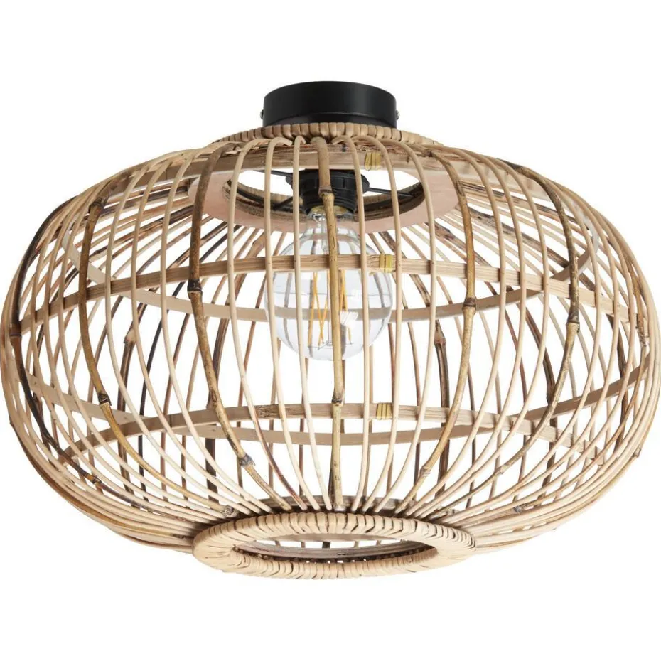 Plafondlamp Boreas