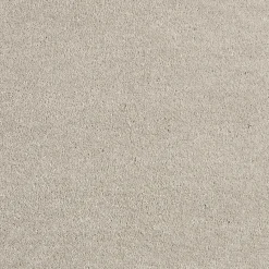 Tapijt Canora Beige