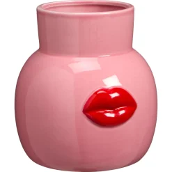 Vaas Lip Roze